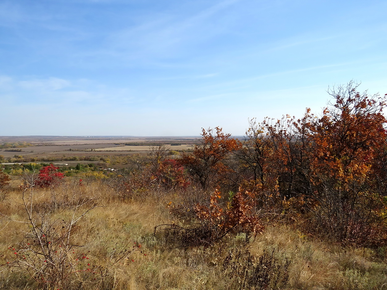 Балка Ольховая, image of landscape/habitat.