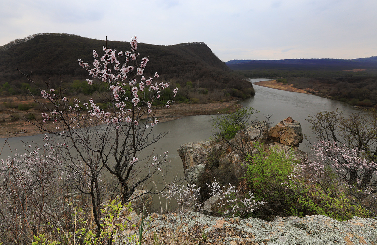 Чернятино, image of landscape/habitat.