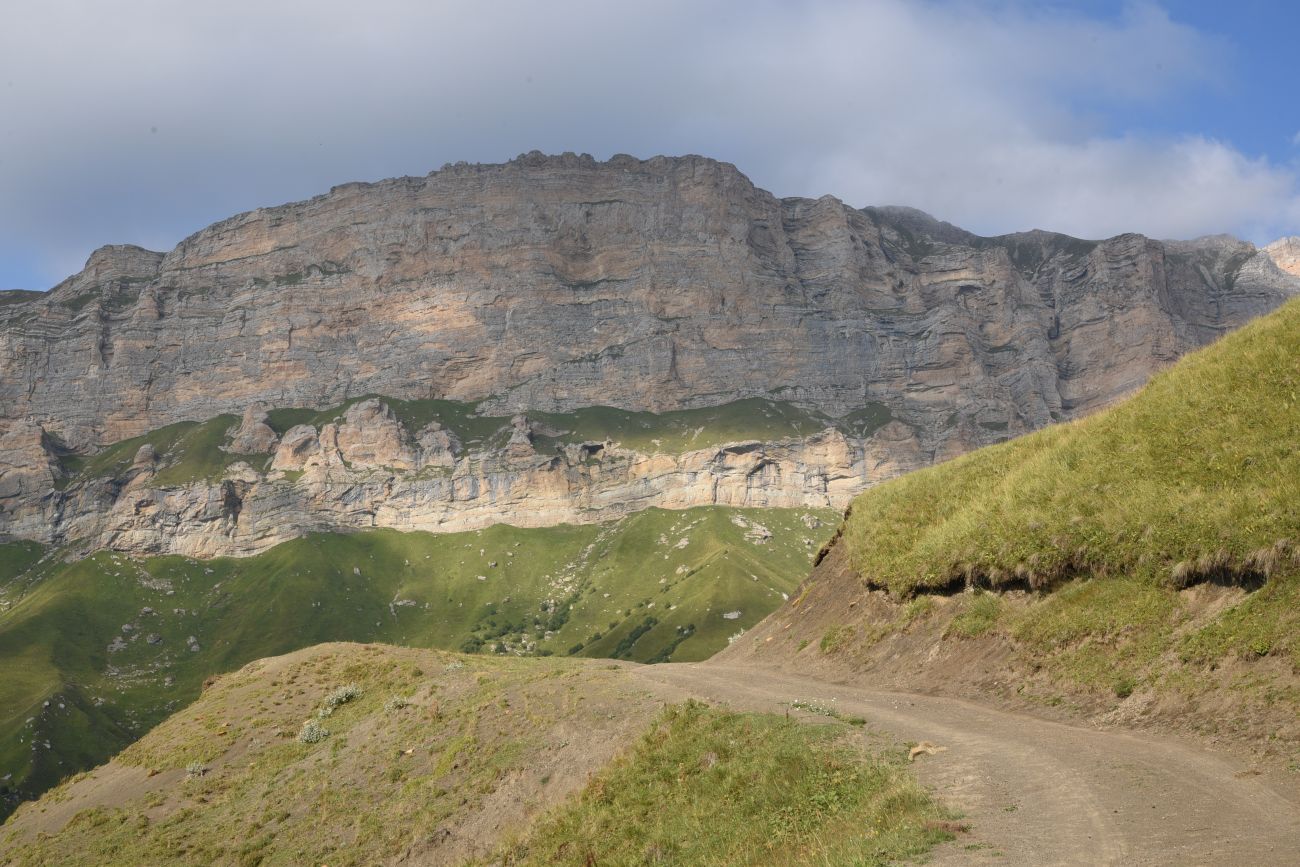 Цумандинский перевал, image of landscape/habitat.