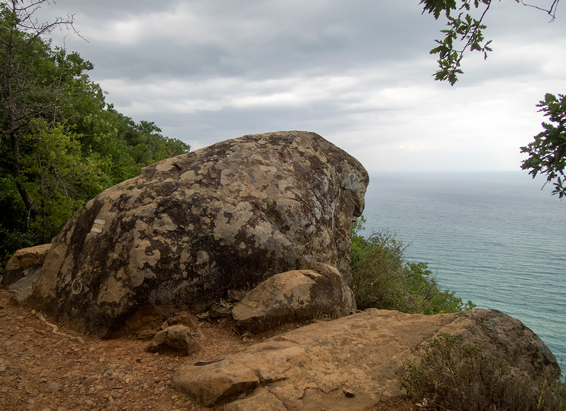 Аюдаг, image of landscape/habitat.