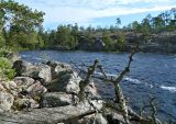Image of landscape