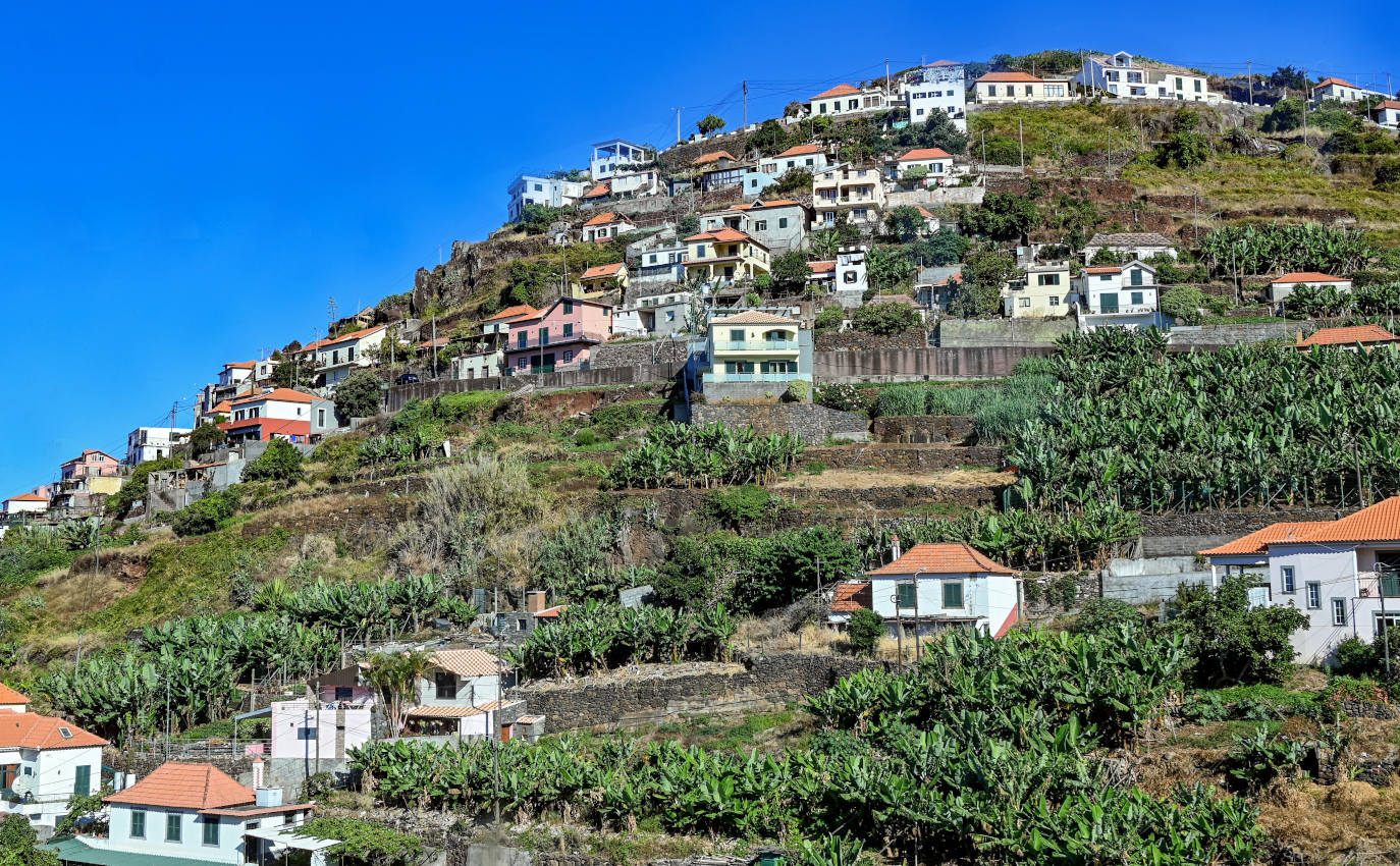 Рибейра-Брава, image of landscape/habitat.