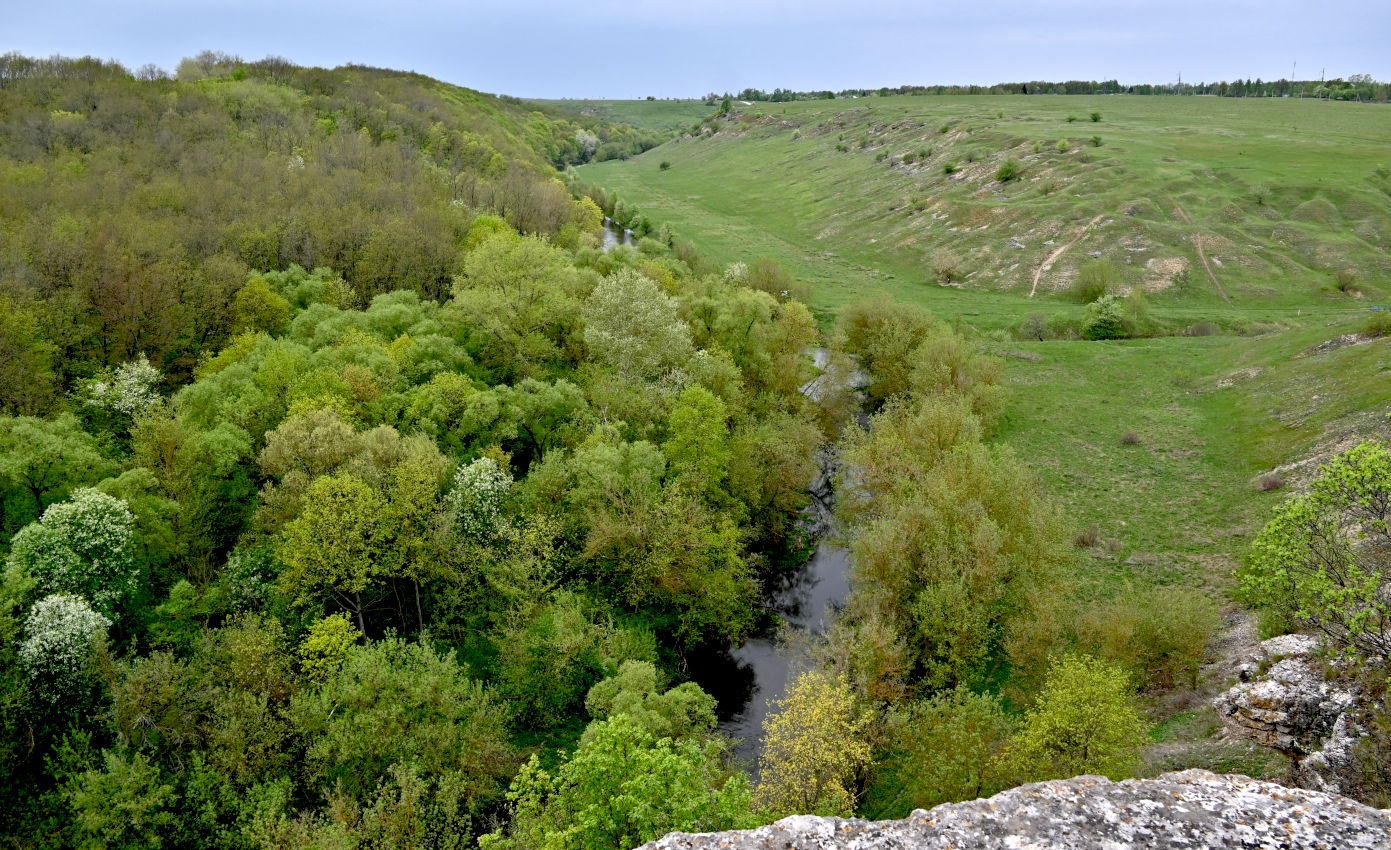 Долина реки Воргол, image of landscape/habitat.