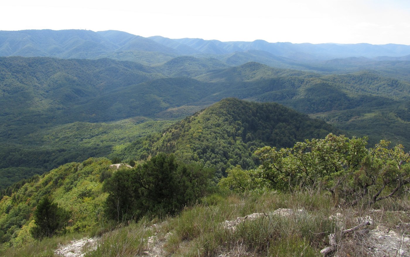 Гора Западный Папай, image of landscape/habitat.