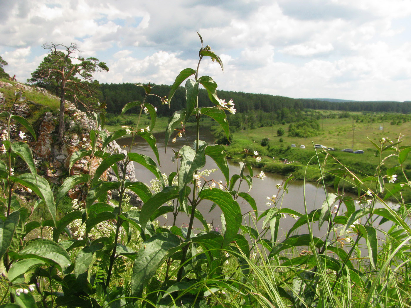 Слобода, image of landscape/habitat.