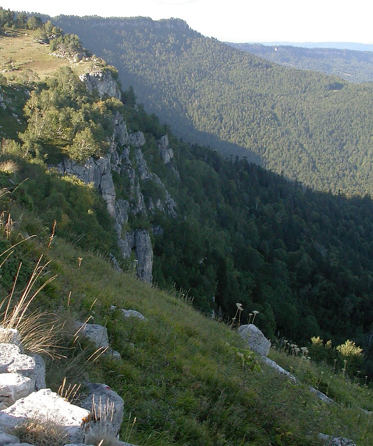 Лагонаки, image of landscape/habitat.