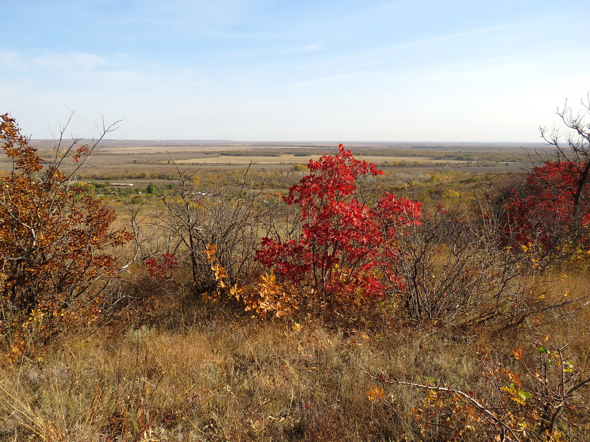 Балка Ольховая, image of landscape/habitat.