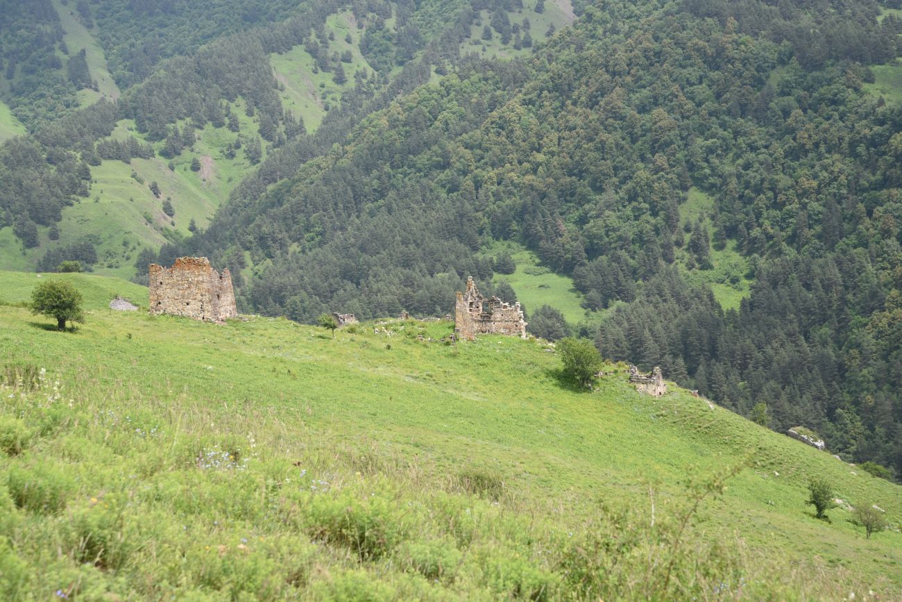Окрестности урочища Цхаралте, image of landscape/habitat.