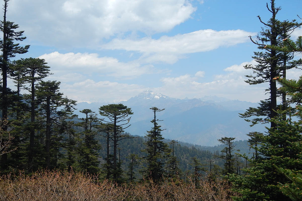 Челела, image of landscape/habitat.
