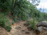 Image of landscape