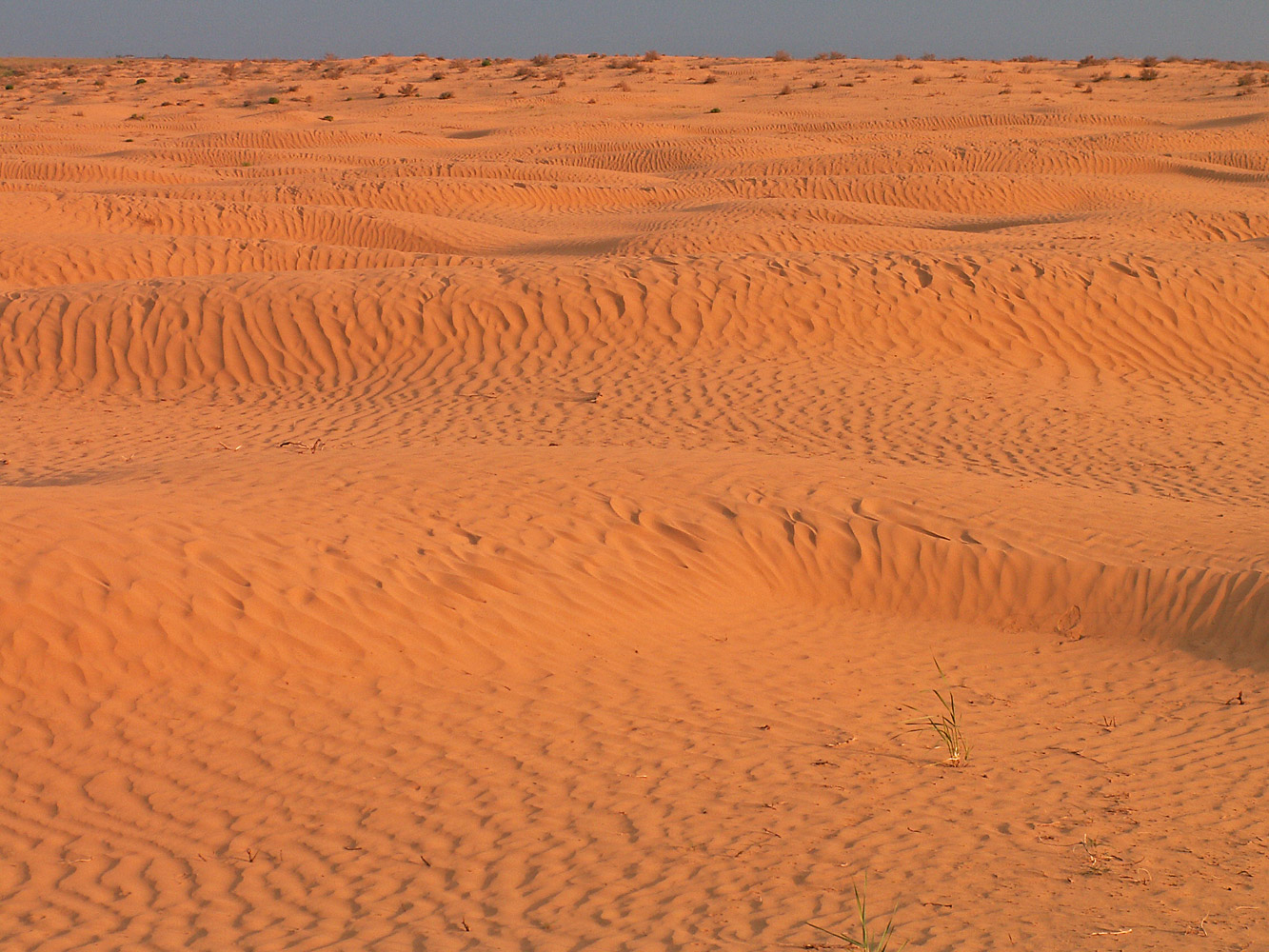 Пески Маштак, image of landscape/habitat.