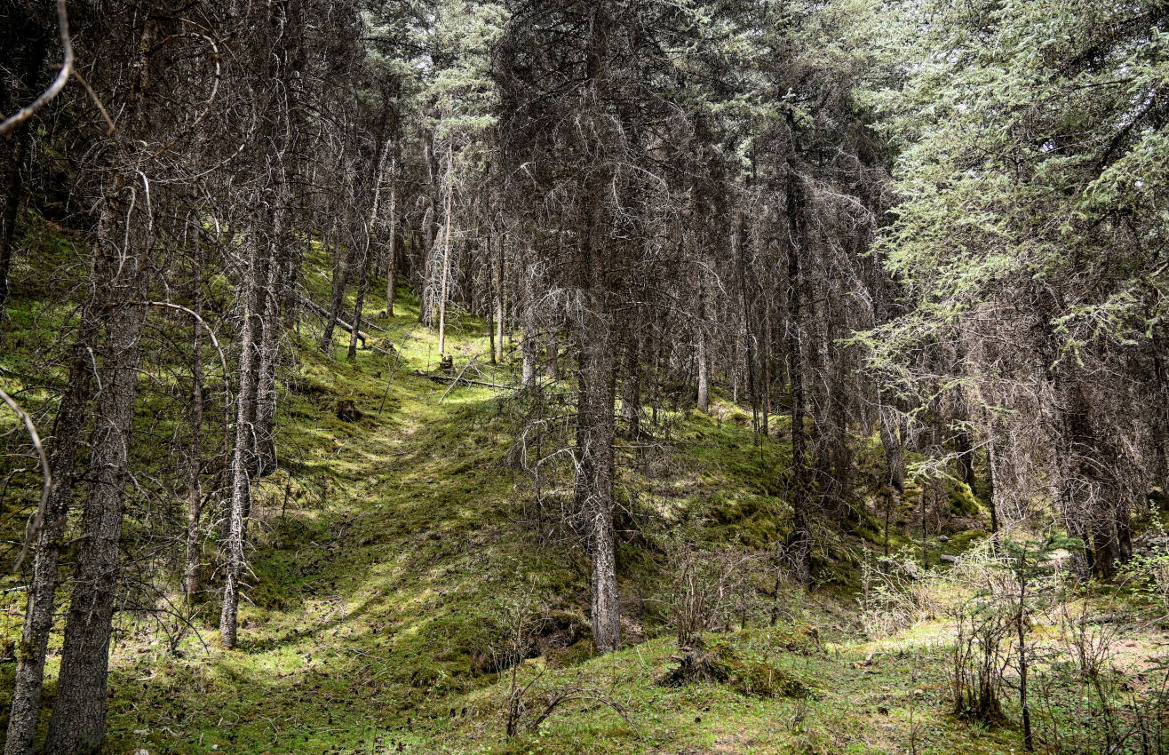 Долина Матисы, изображение ландшафта.