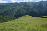 Лес между Хакмадой и Хочелдой, image of landscape/habitat.