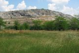 Image of landscape