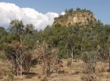 Image of landscape