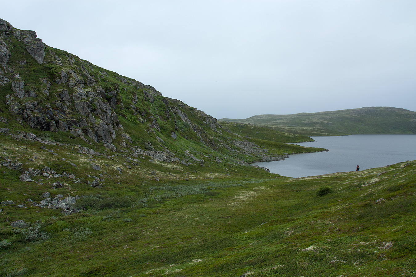 Поздняковское озеро, image of landscape/habitat.