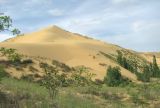 Landscape image