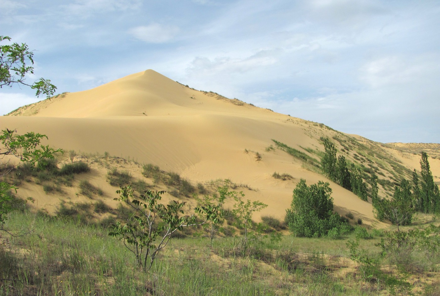 Бархан Сарыкум, image of landscape/habitat.