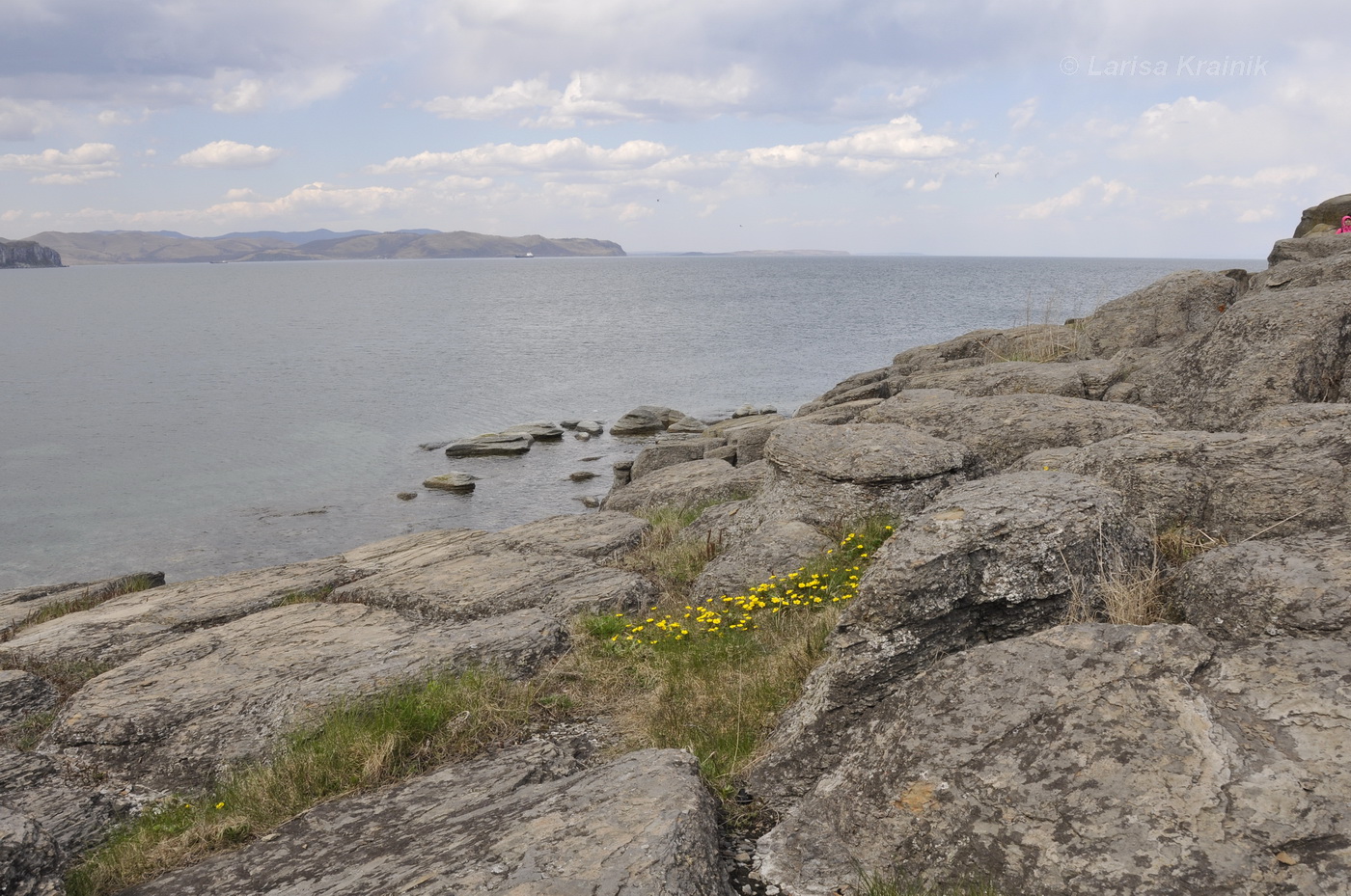 Полуостров Брюса, image of landscape/habitat.