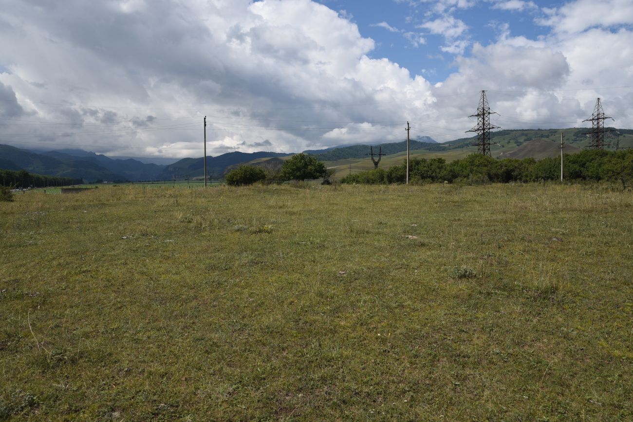 Памятник "Скорбящий Горец", image of landscape/habitat.