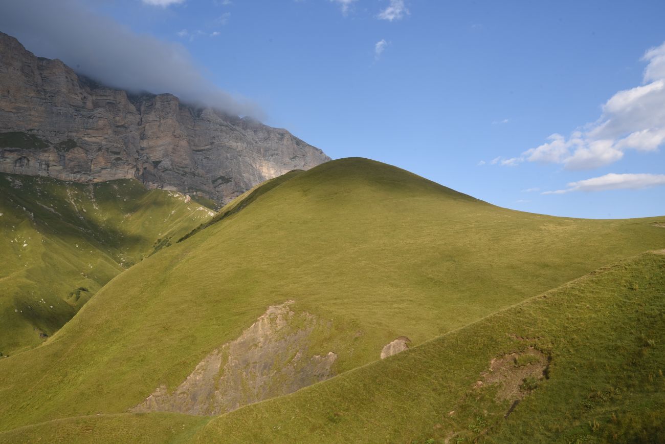 Цумандинский перевал, image of landscape/habitat.