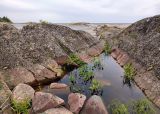 Image of landscape