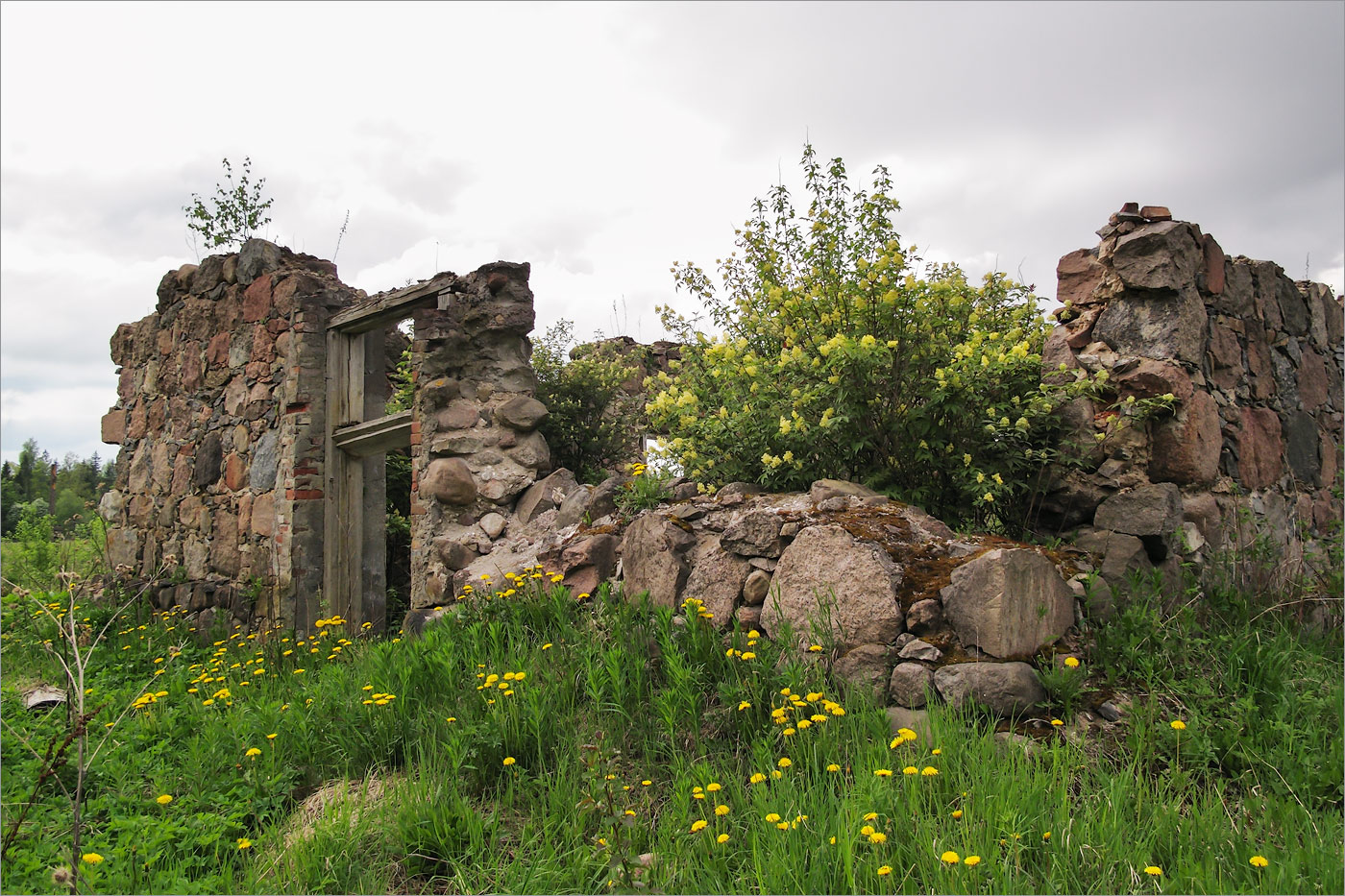 Великино, image of landscape/habitat.