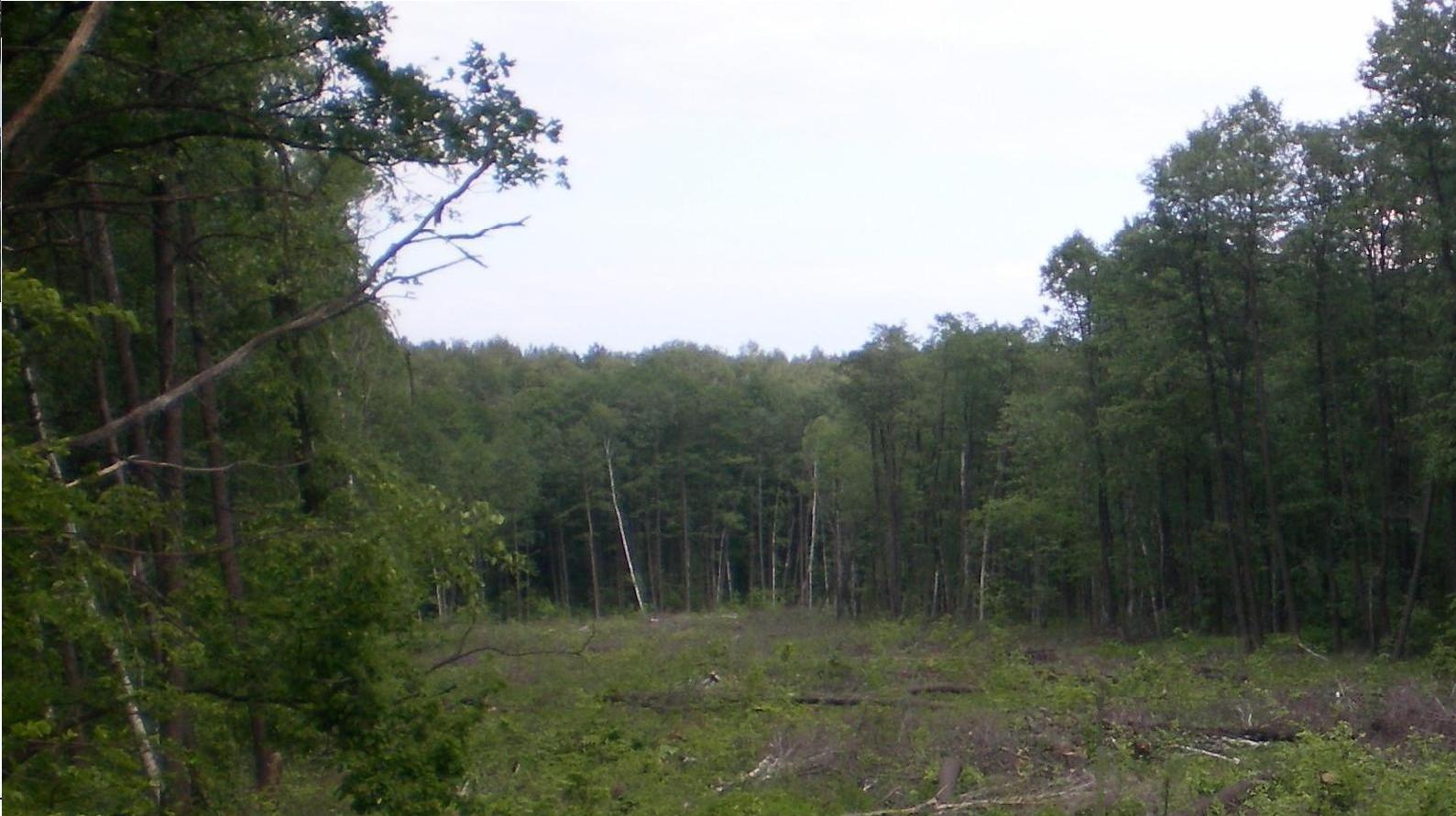 Окрестности города Заречного, image of landscape/habitat.