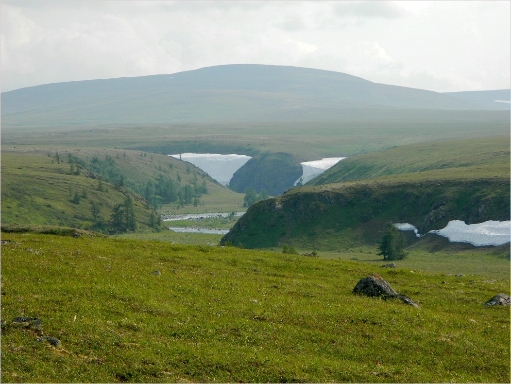 Большая Хойлаю, image of landscape/habitat.