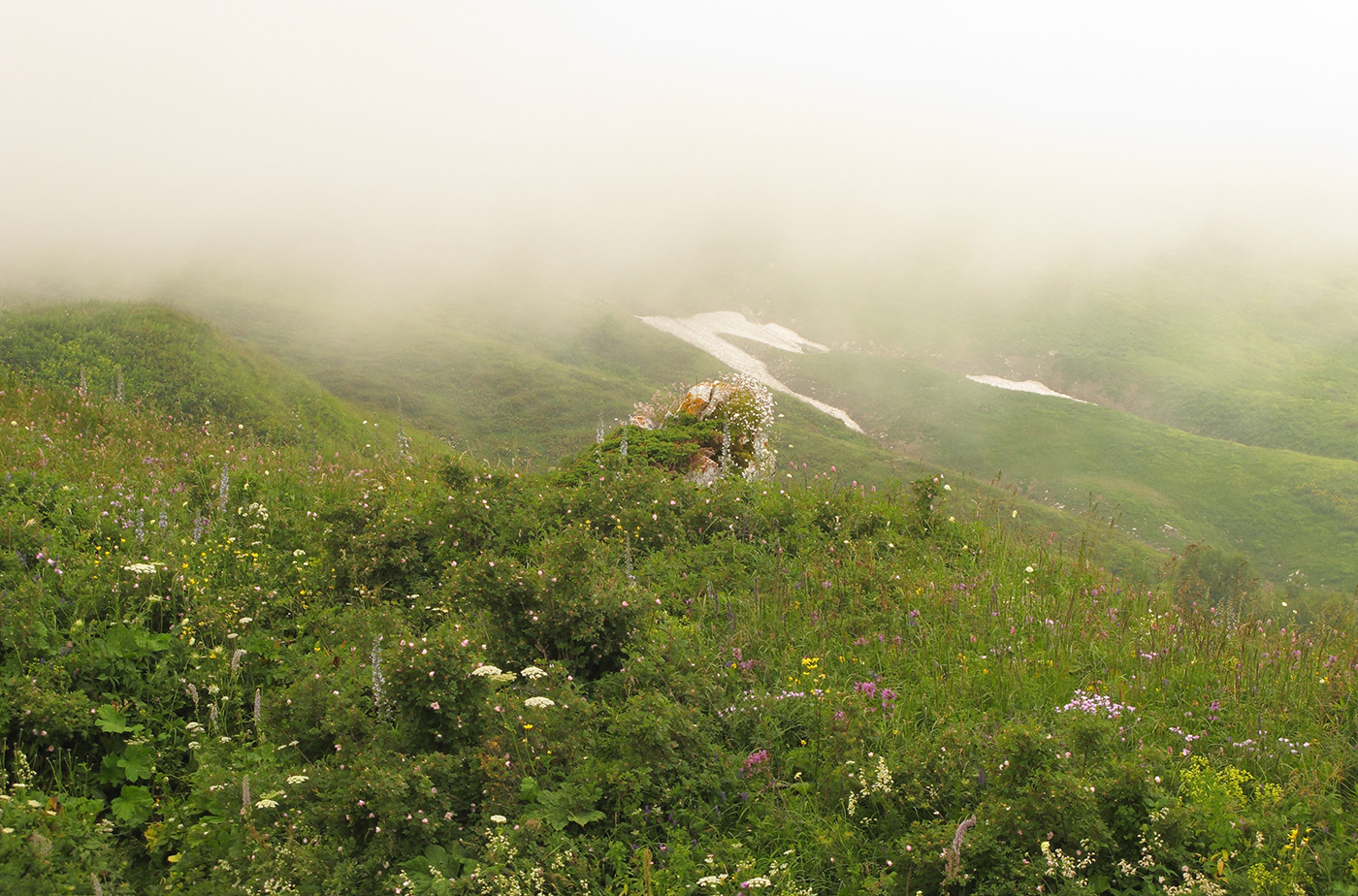 Гора Гузерипль, image of landscape/habitat.