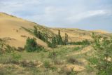 Landscape image