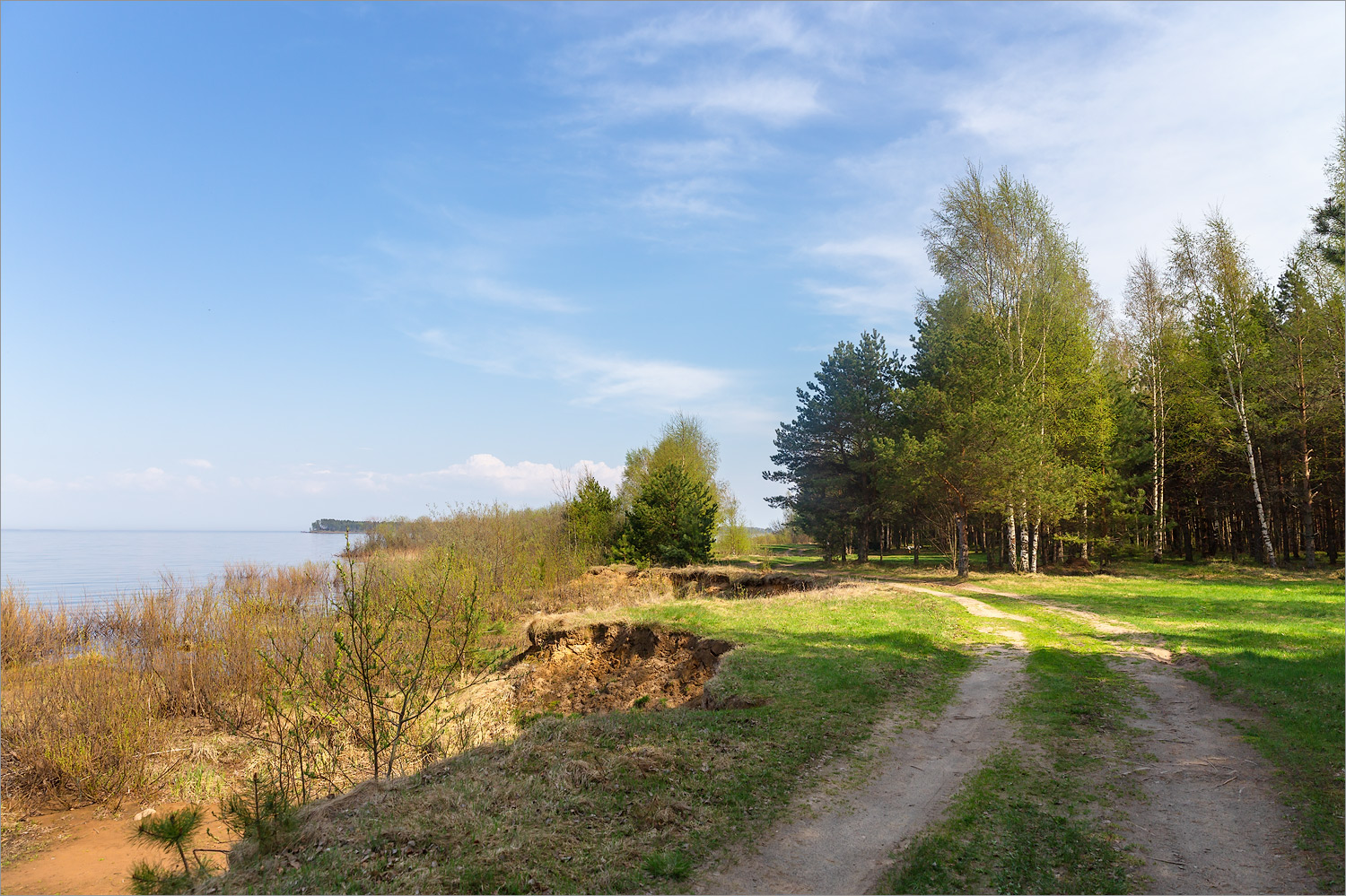 Берег рыбинского водохранилища