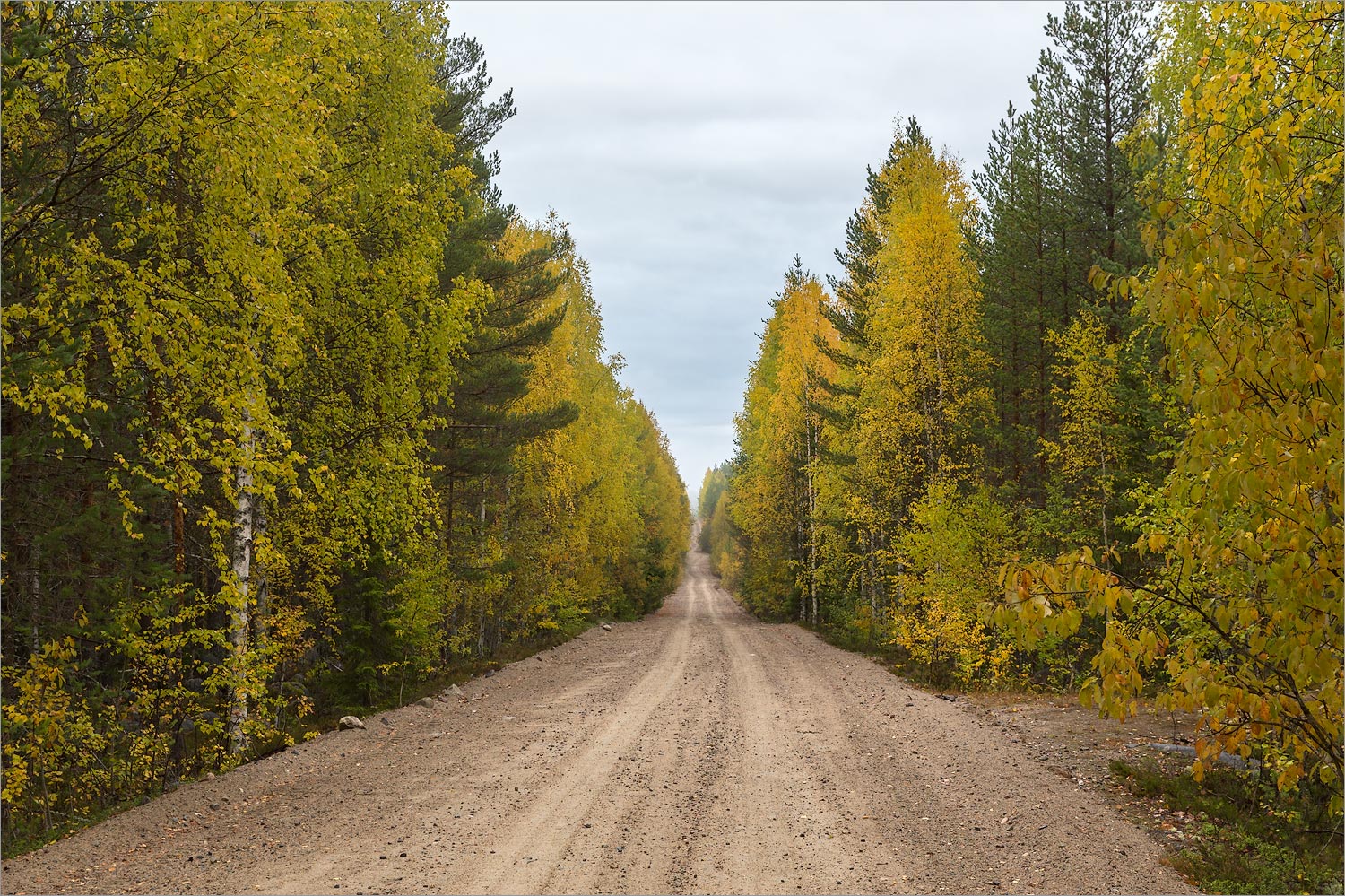 Пизанец, image of landscape/habitat.