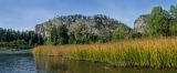 Image of landscape