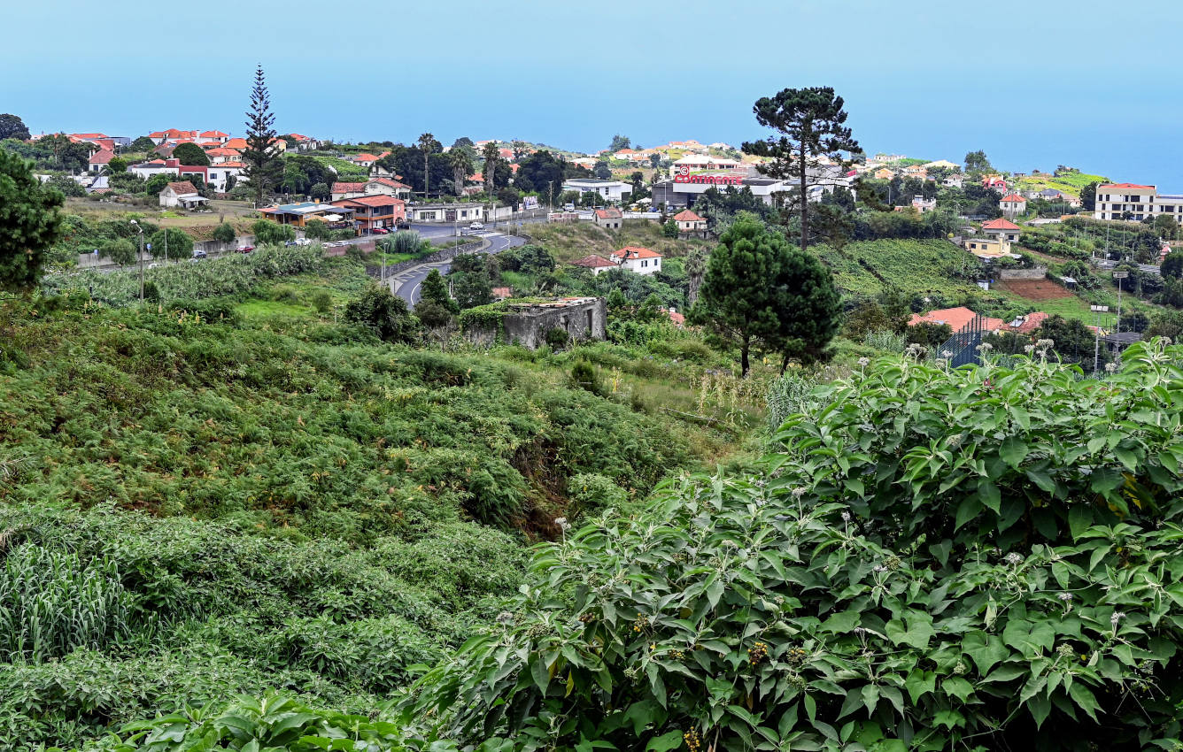Сантана и окрестности, image of landscape/habitat.