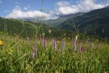 Лес между Хакмадой и Хочелдой, image of landscape/habitat.