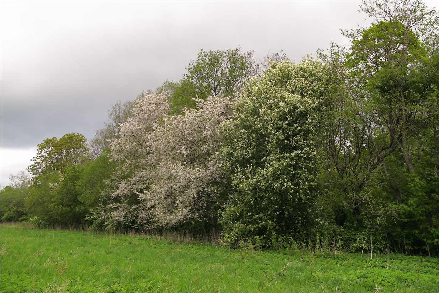 Великино, image of landscape/habitat.