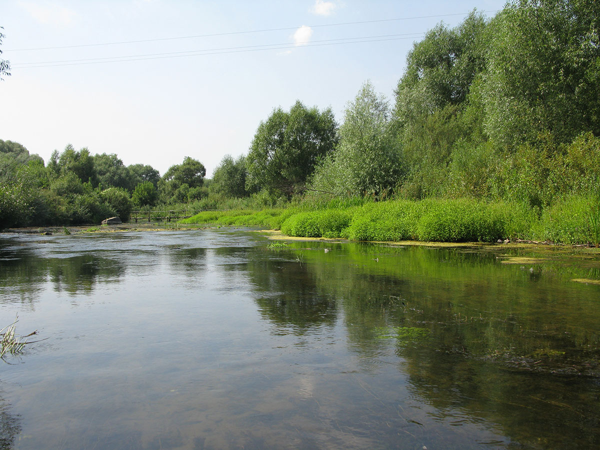 Нижнее течение реки Усожа 1, image of landscape/habitat.