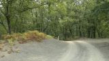 Image of landscape