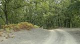 Верхнеармянское Лоо и вокруг, image of landscape/habitat.