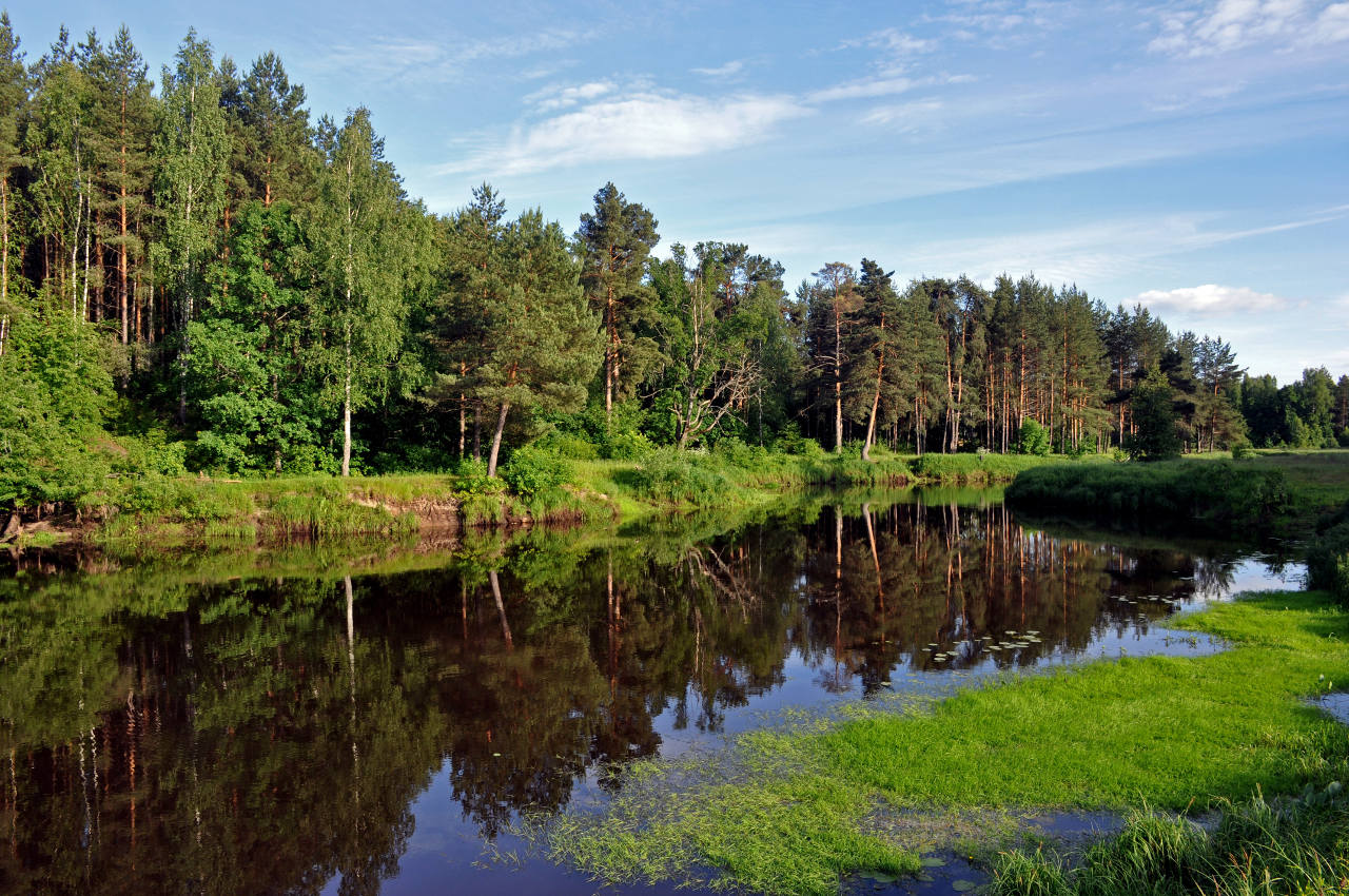 Долина реки Нерская, image of landscape/habitat.