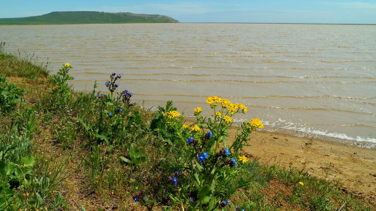 Опук, image of landscape/habitat.