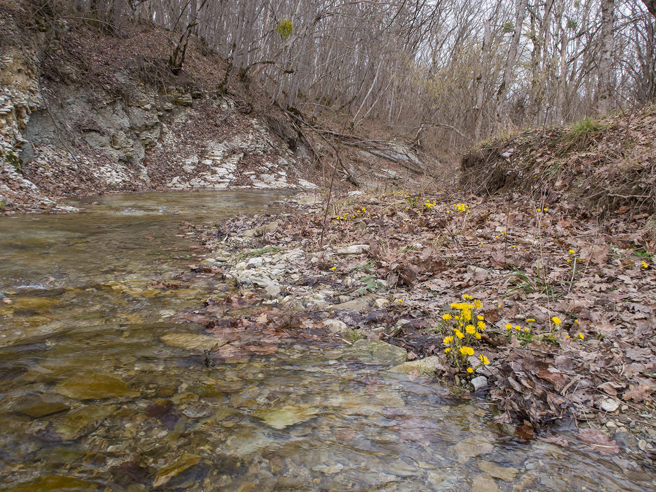 Глубокий Яр, image of landscape/habitat.