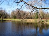 Город Пушкин, image of landscape/habitat.