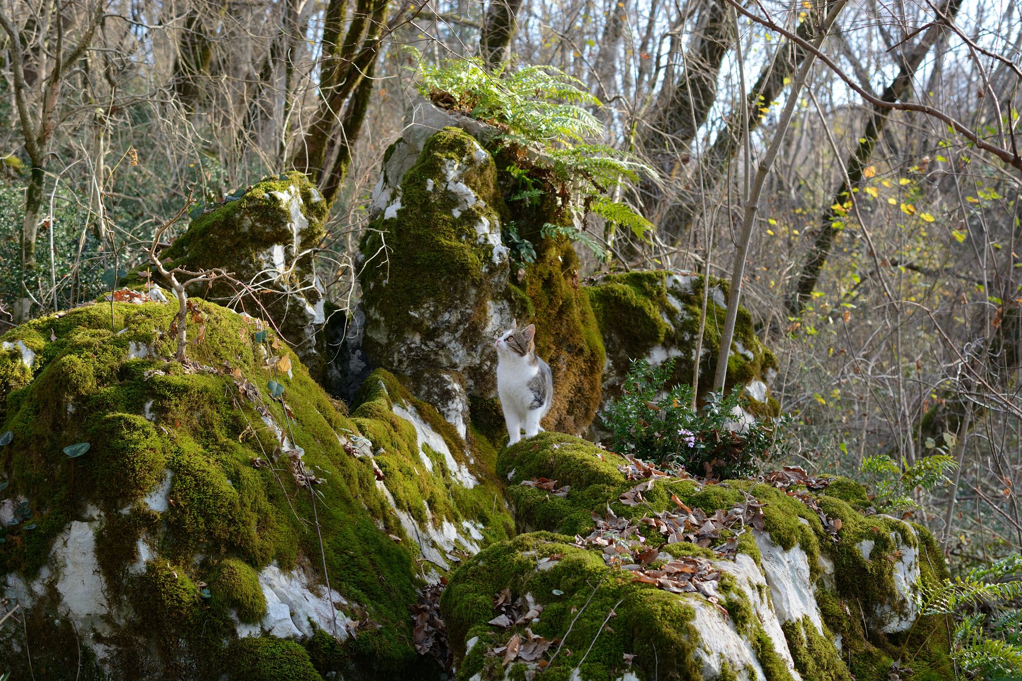 Ордынка, image of landscape/habitat.