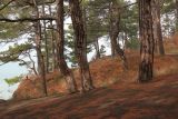 Image of landscape