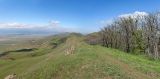 Image of landscape