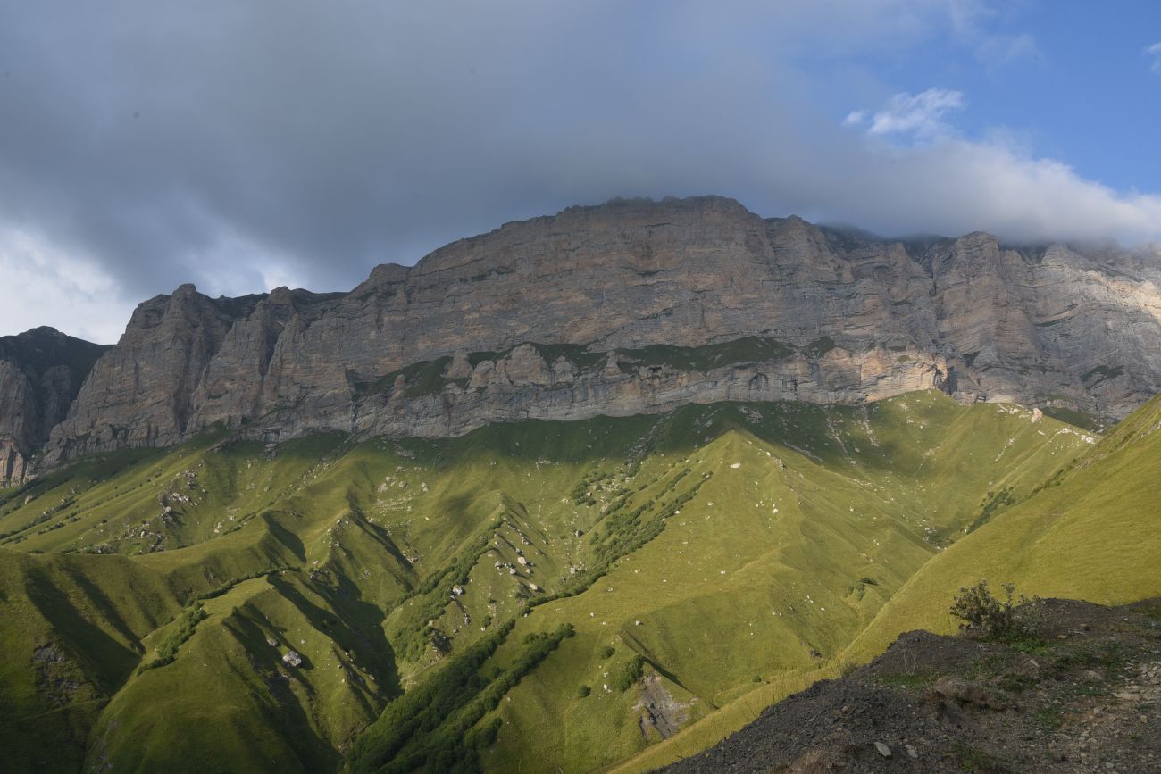 Гора Годобери, image of landscape/habitat.