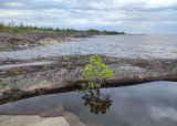 Image of landscape