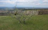 Бахчисарай и окрестности, image of landscape/habitat.